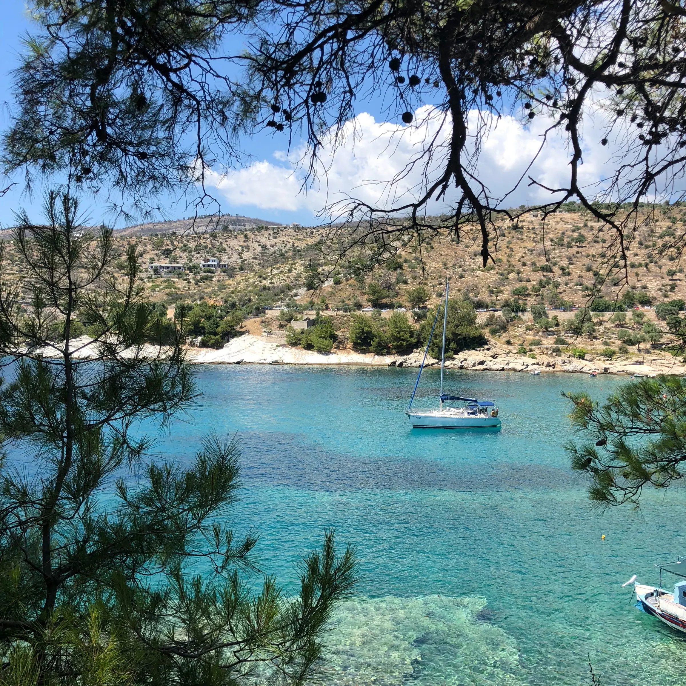&Alpha;&lambda;&upsilon;&kappa;ή