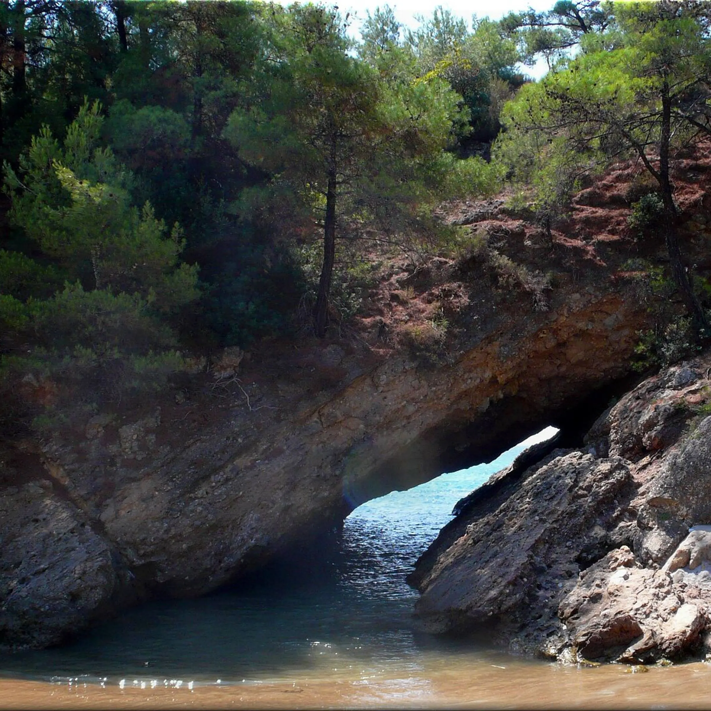 Trypiti