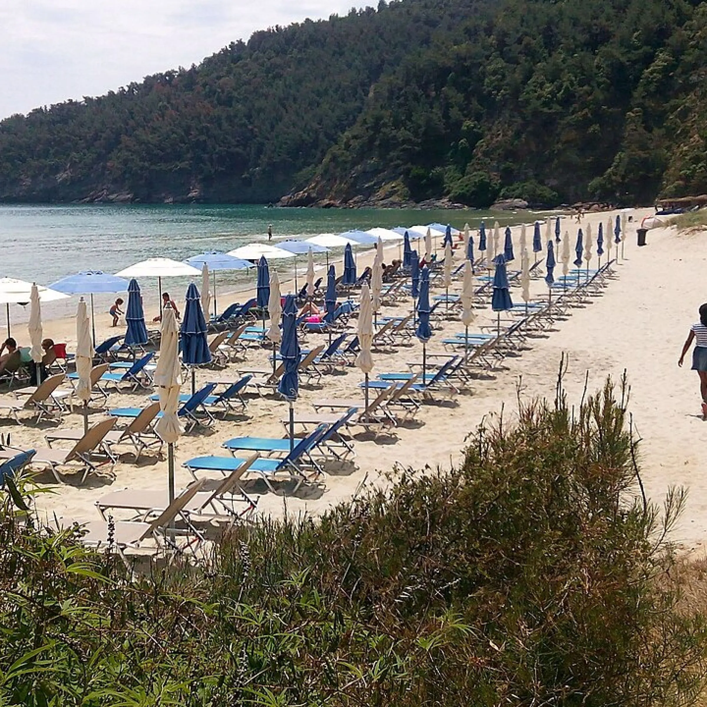Paradise Beach